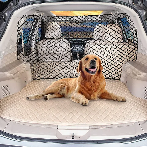 Filet de séparation pour chien en voiture